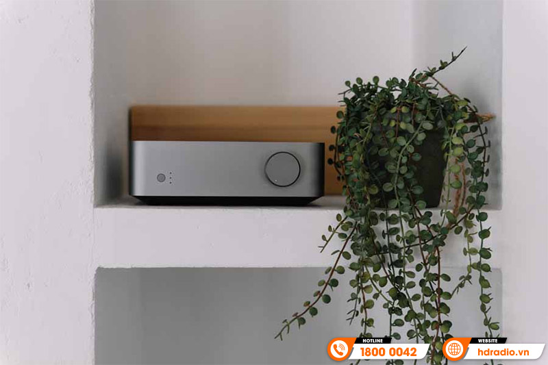 Amply WiiM Vibelink Amp công nghệ