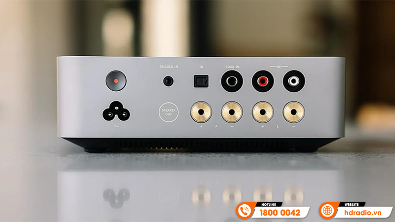 Amply WiiM Vibelink Amp kết nối