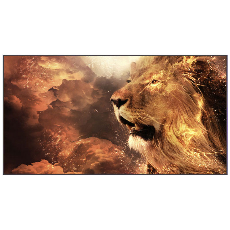 Màn chiếu Quang Học Grandview PE-L133(16:9) DY4