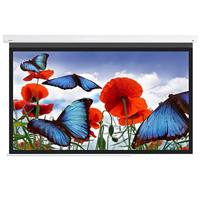 Màn chiếu quang học DNP Flex 100inch (16:9)