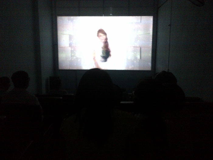 lắp đặt phòng chiếu phim 3D kinh doanh tại thị trấn phủ - bình giang - Hải Dương