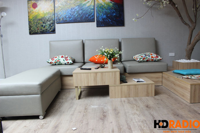 Lắp đặt phòng chiếu phim gia đình A Vũ Láng Hạ - Hình 2