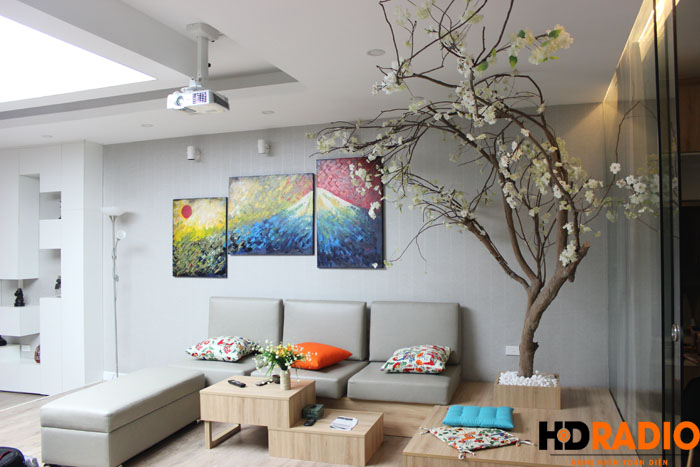 Lắp đặt phòng chiếu phim gia đình A Vũ Láng Hạ - Hình 4