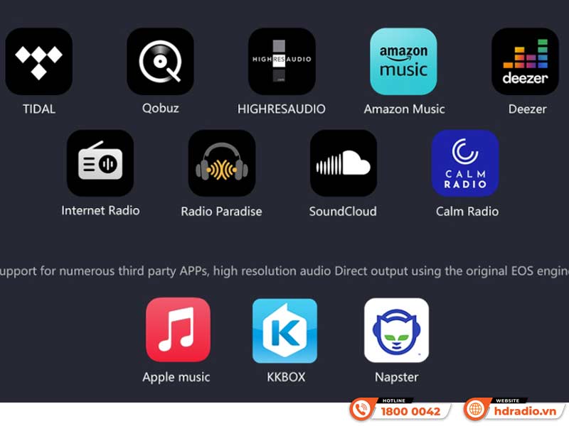 Dịch vụ Network Streamer Eversolo DMP-A6