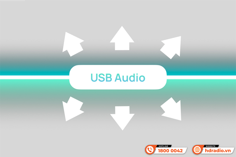 Music server + Network streamer + DAC + Pre Amp Eversolo DMP A10