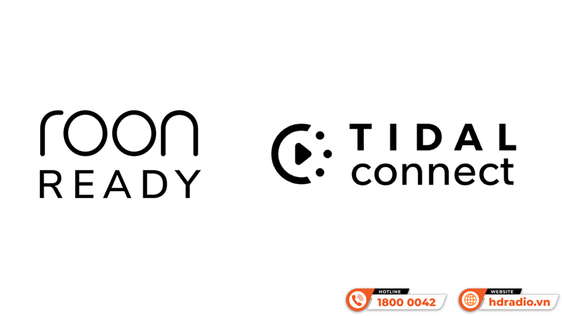 Music server + Network streamer + DAC + Pre Amp Eversolo DMP A10