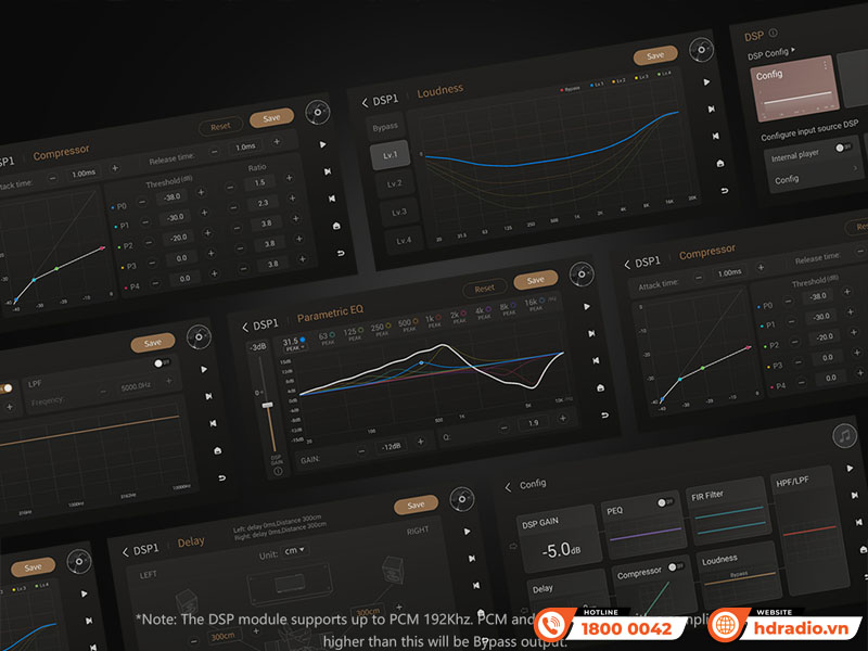 Music server + Network Player + DAC Eversolo DMP-A8