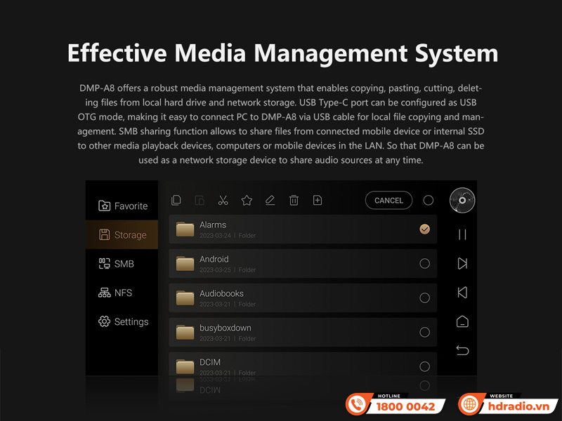 Music server + Network Player + DAC Eversolo DMP-A8