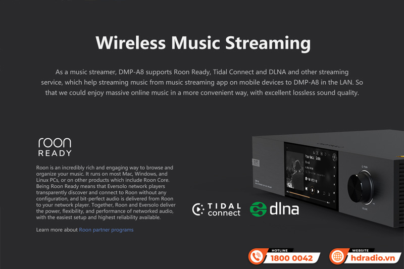 Music server + Network Player + DAC Eversolo DMP-A8