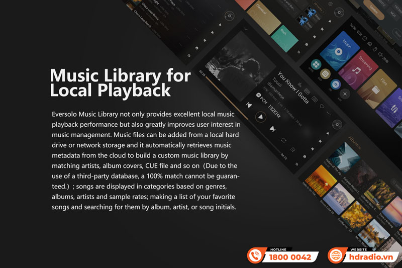 Music server + Network Player + DAC Eversolo DMP-A8