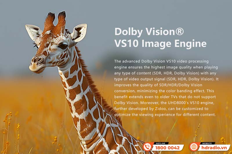 Đầu ZIDOO UHD8000