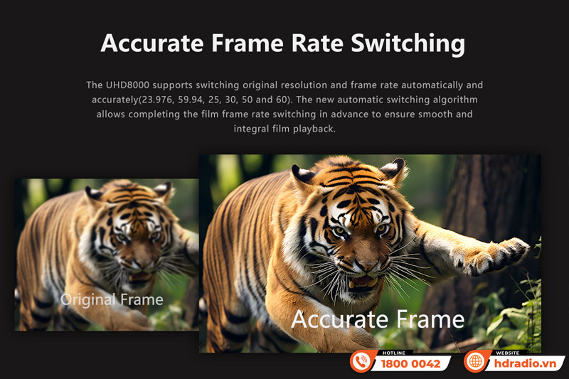 Đầu ZIDOO UHD8000