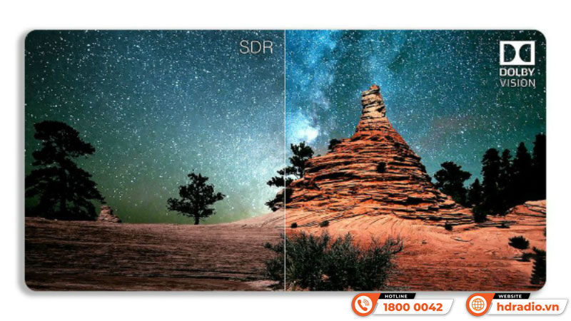 Đầu ZIDOO Z30 Pro