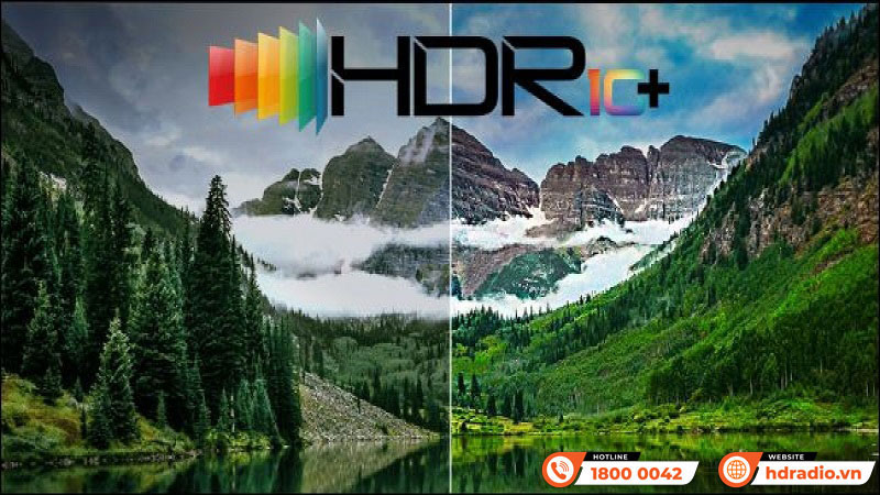 Đầu ZIDOO Z3000 Pro