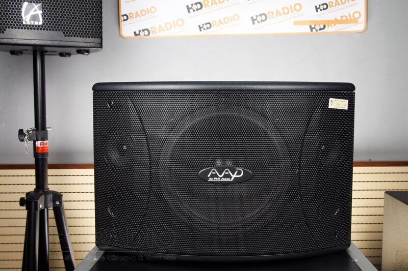 Loa-karaoke-aad-pk-510