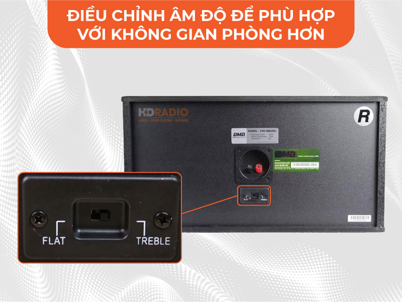 Mặt sau loa BMB csv480