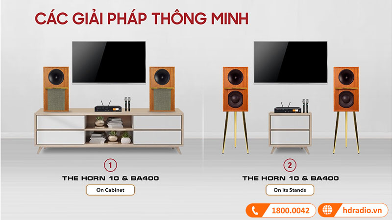 Loa Boston Acoustics Horn 10