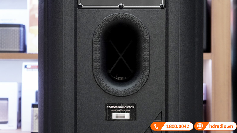 Loa Boston Acoustics PARTY BOX BA-1202PB ảnh thực tế