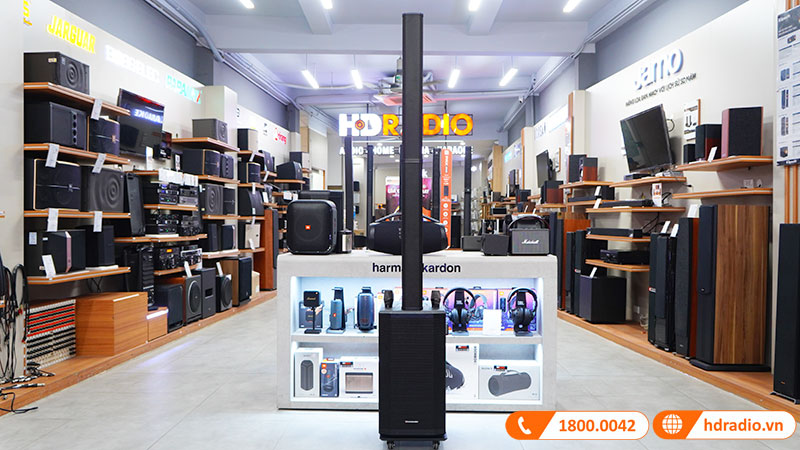 Boston Acoustics L10 PRO