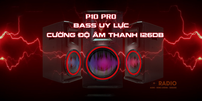 Loa Full CAVS P10 Pro