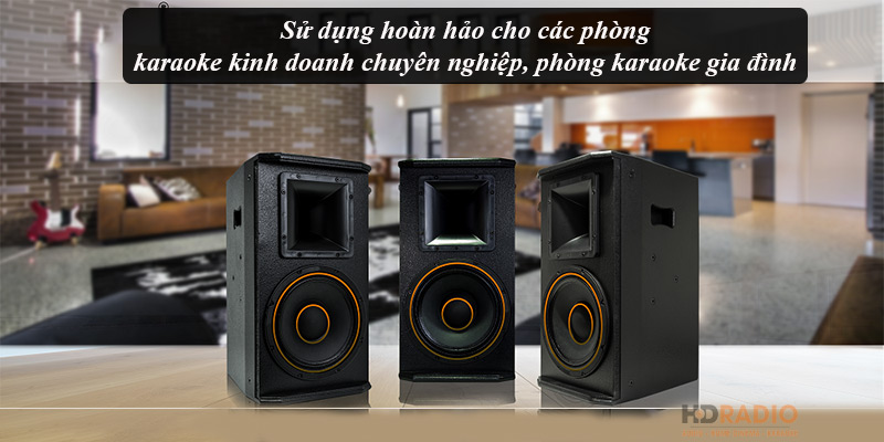 Loa Full CAVS P10 Pro