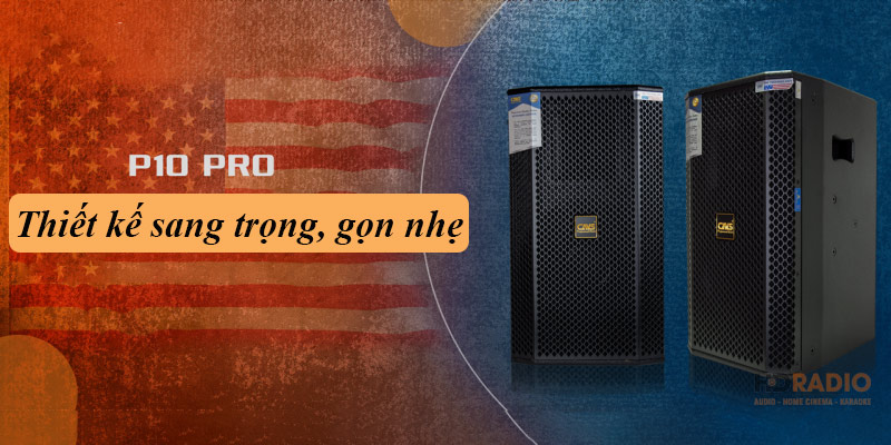 Loa Full CAVS P10 Pro