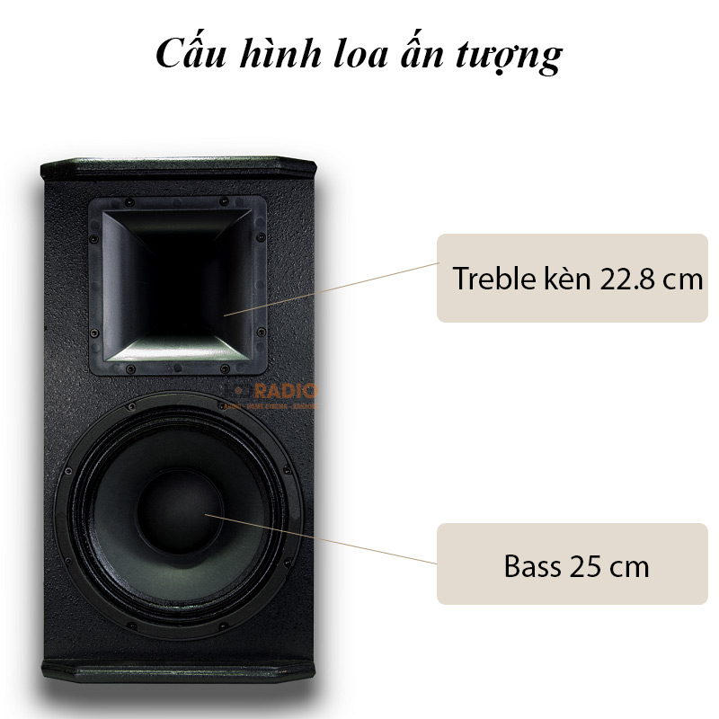  Loa Full CAVS P10 Pro