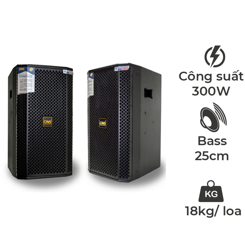 Loa Full CAVS P10 Pro, Bass 25cm, 300W