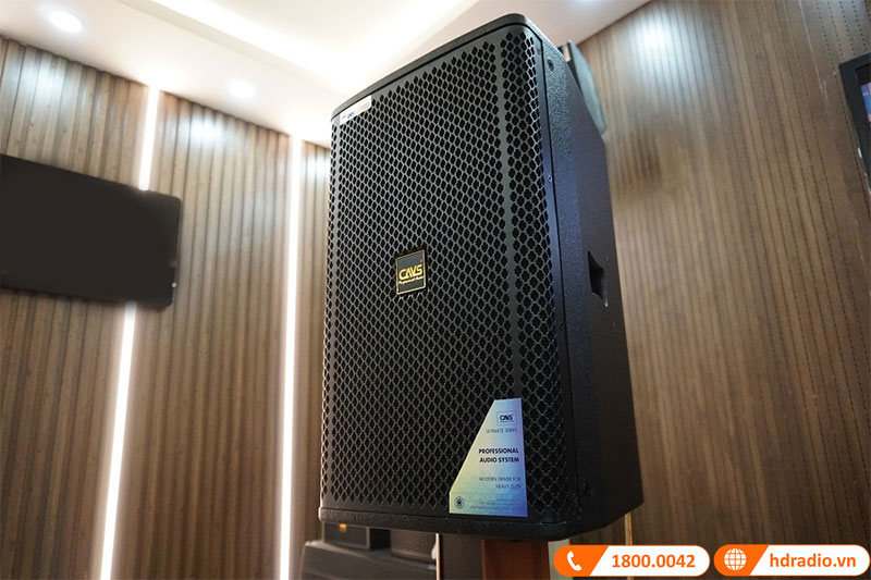 Loa CAVS P12 Plus