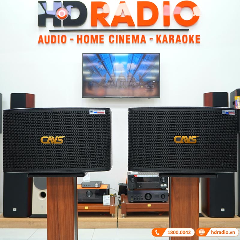 Loa CAVS LF710, Bass 25cm, Công Suất 200W-1