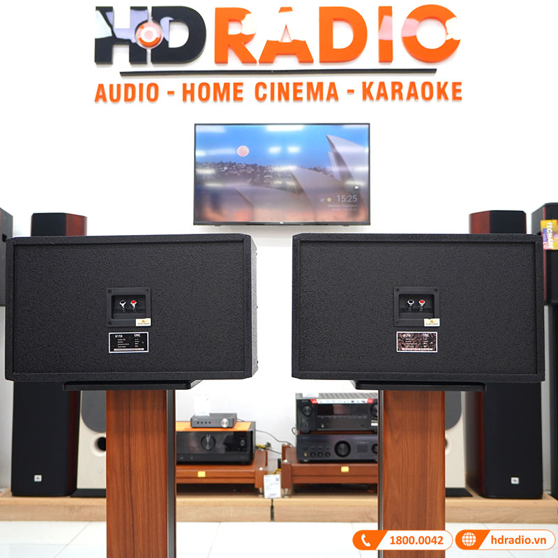 Loa CAVS LF710, Bass 25cm, Công Suất 200W-2