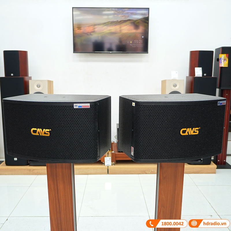Loa CAVS LF710, Bass 25cm, Công Suất 200W-3