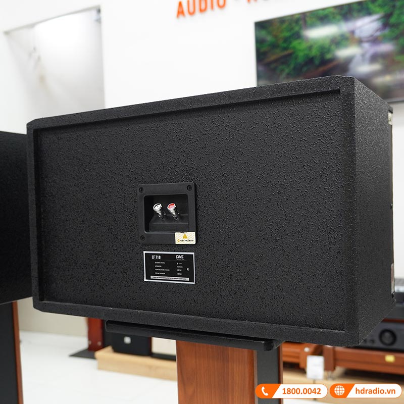 Loa CAVS LF710, Bass 25cm, Công Suất 200W-7
