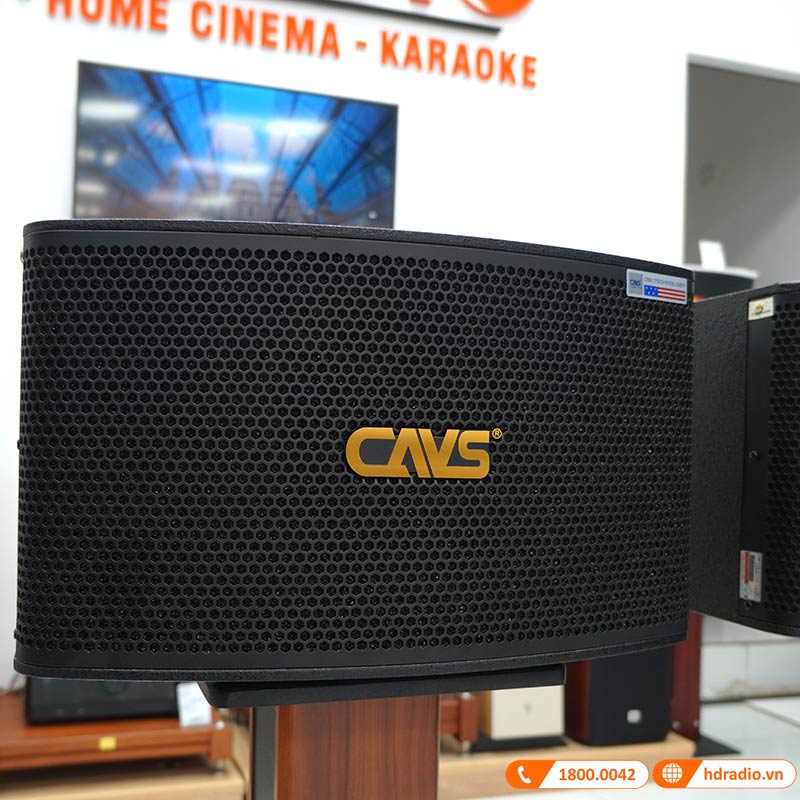 Loa CAVS LF710, Bass 25cm, Công Suất 200W-4