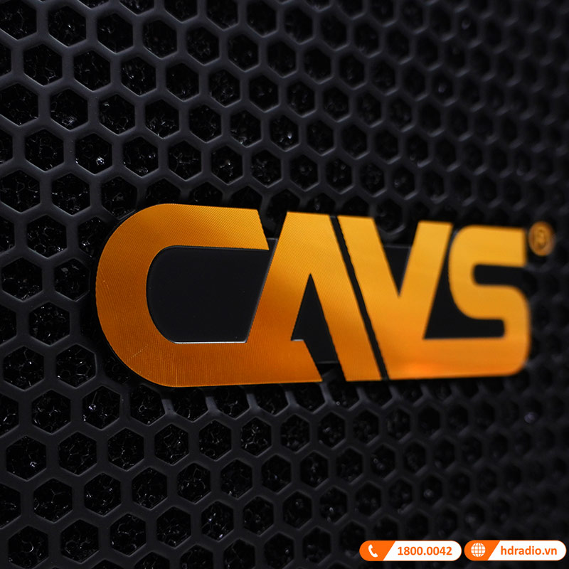 Loa CAVS LF710, Bass 25cm, Công Suất 200W-6