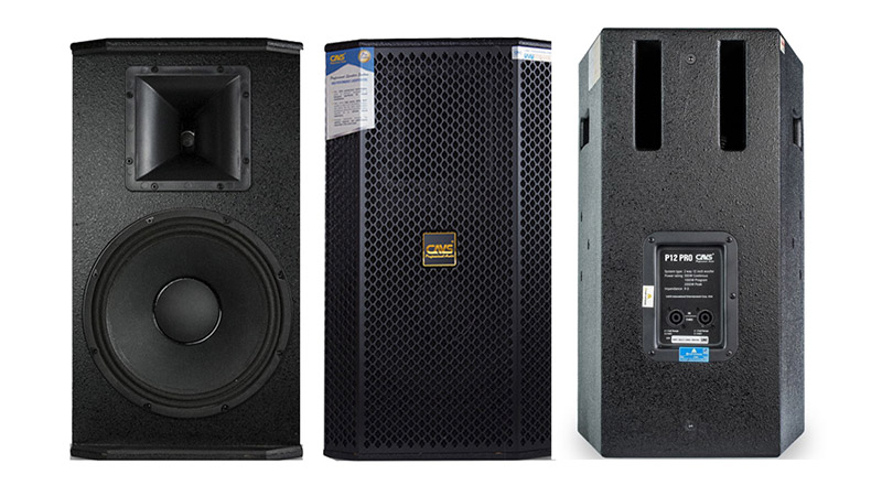 Thiết kế loa CAVS P12 Pro