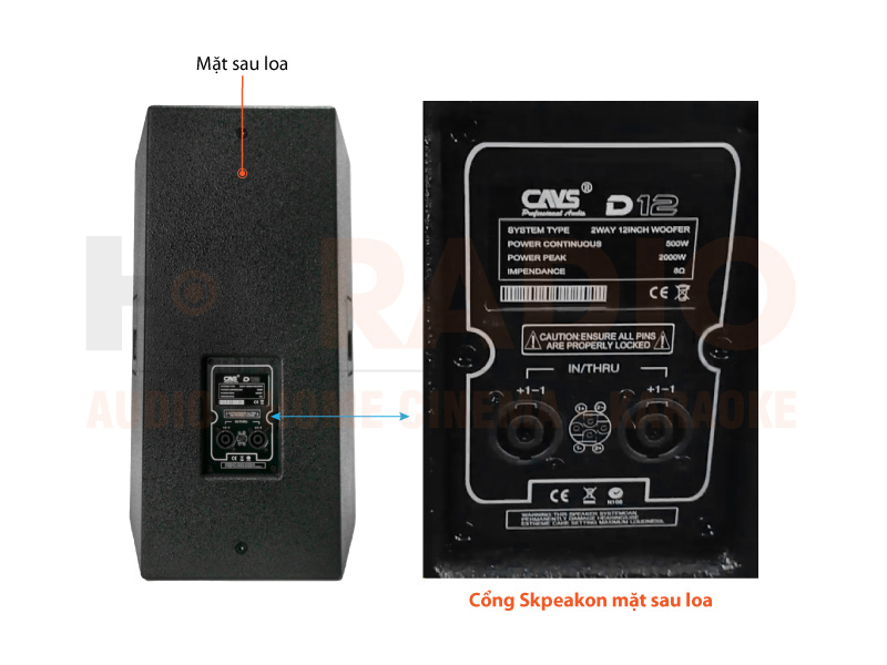 Chú thích Loa CAVS D12