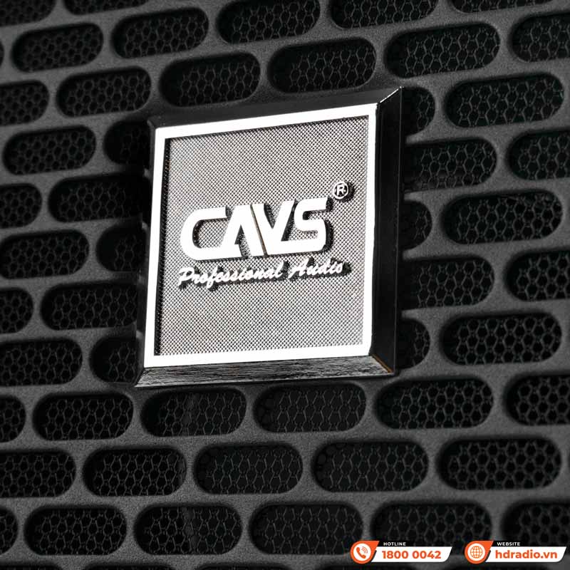 Loa CAVS D12, Bass 30cm, 500W, 95 dB, 8 Ohms, 72 Hz – 20 kHz-3