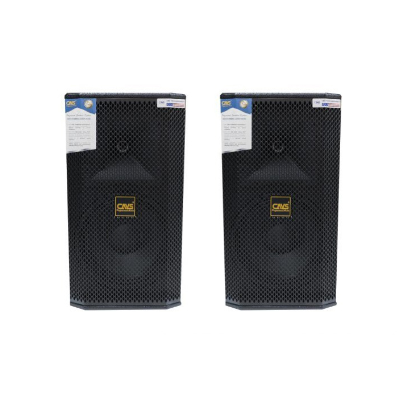 Loa CAVS K250, Bass 25cm, Công suất 300W-1