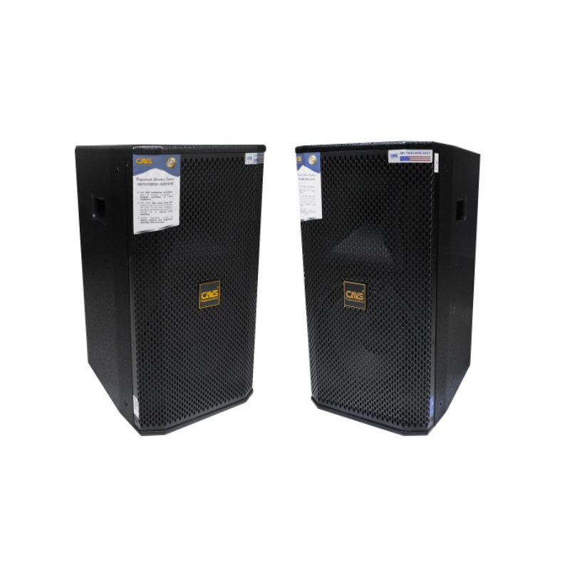 Loa CAVS K250, Bass 25cm, Công suất 300W-2