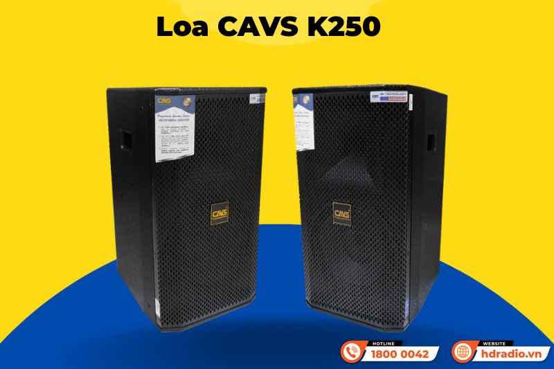 Loa CAVS K250