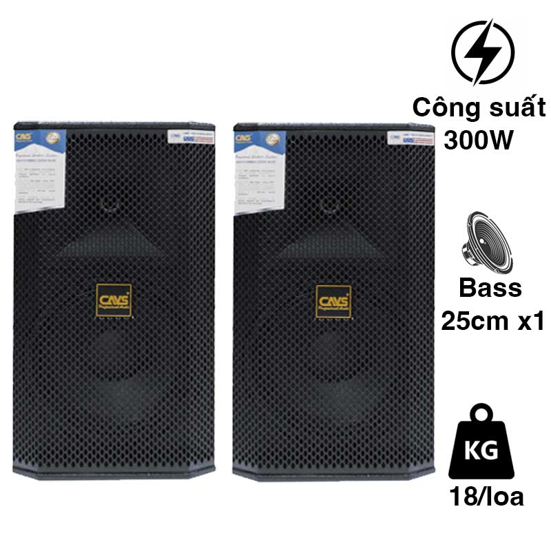 Loa CAVS K250, Bass 25cm, Công suất 300W