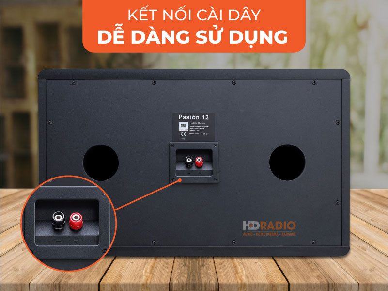 Mặt sau Loa JBL Pasion 12 