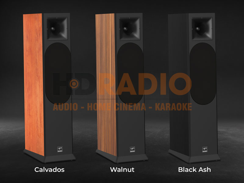 Thiết kế Loa Paramax EURO 8 Limited