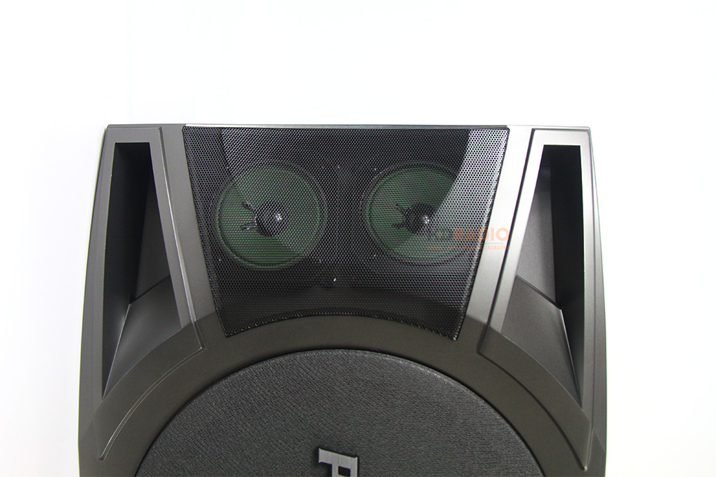 anh-loa-treble-loa-karaoke-paramax-p1000-new-2018