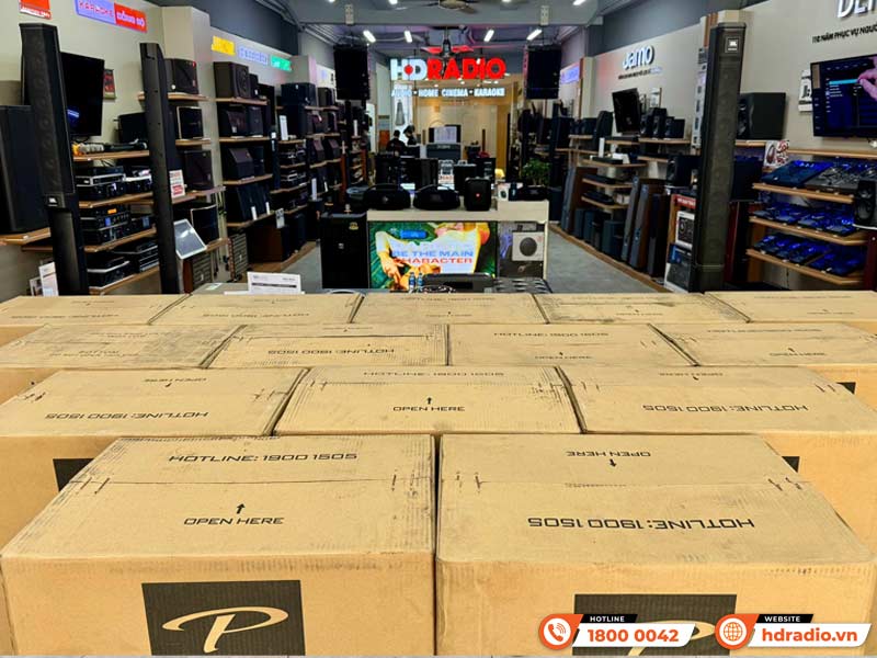 Loa Paramax D88 Limited, Bass 30cm, Công Suất 120W, Bảo Hành 5 năm-23