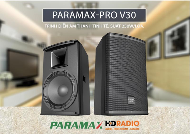 Loa PARAMAX PRO V30