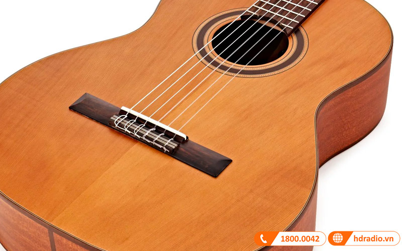 Đàn Guitar Cordoba C3M, classic guitar-12