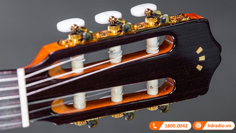 Đàn Guitar Cordoba C5-CE SP, guitar classic electric-5