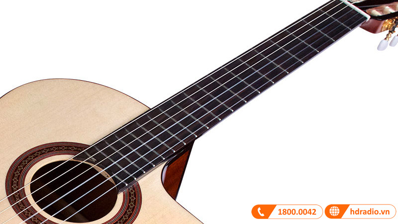 Đàn Guitar Cordoba C5-CE SP, guitar classic electric-6